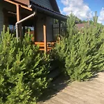 Dobilas Ir Jura