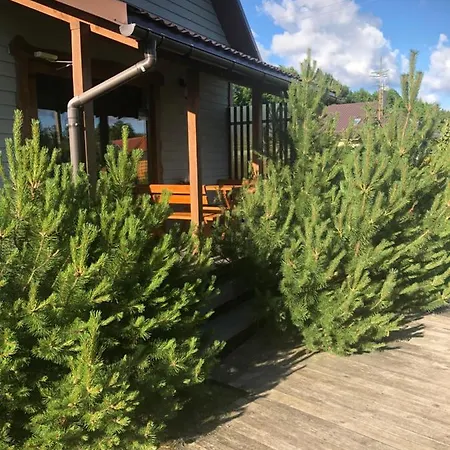 Dobilas Ir Jura
