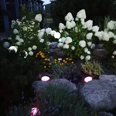 Dobilas Ir Jura Pensjonat Połąga