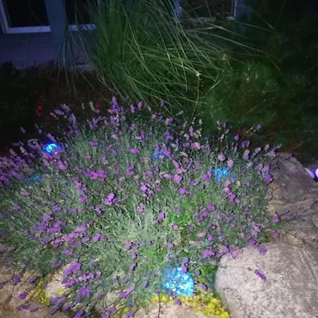 Dobilas Ir Jura Pensjonat 3*