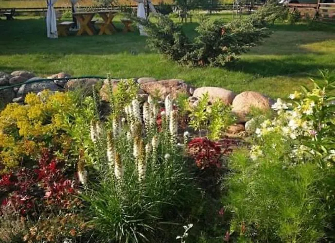 Dobilas Ir Jura 3* Palanga