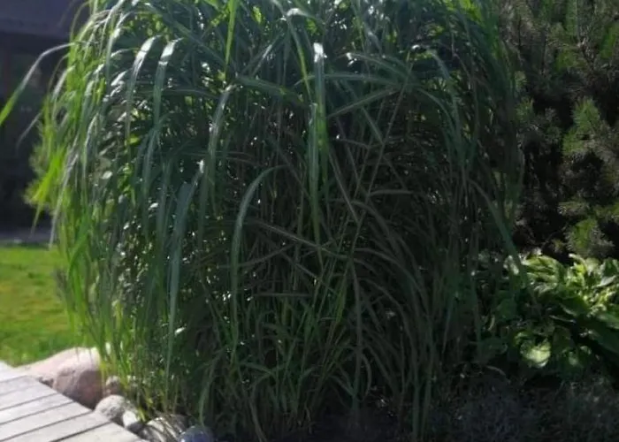 Dobilas Ir Jura Vendégház 3*