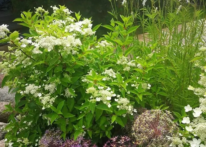 Vendégház Dobilas Ir Jura