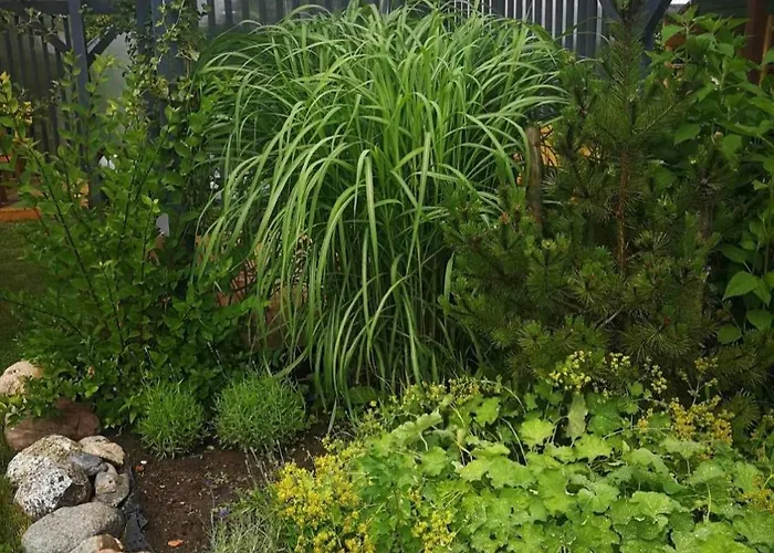 Vendégház Dobilas Ir Jura