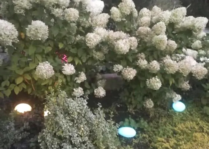 Vendégház Dobilas Ir Jura 3*